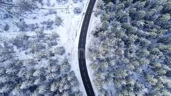 穿过冬天森林的道路的鸟瞰图视频的预览图