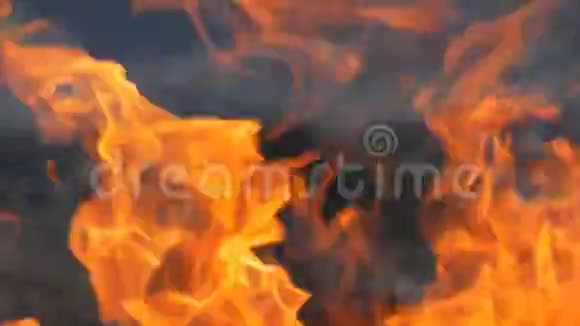 火焰火焰近景视频的预览图