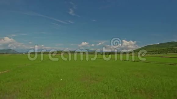 在越南摄像机沿着稻田和蓝天移动视频的预览图