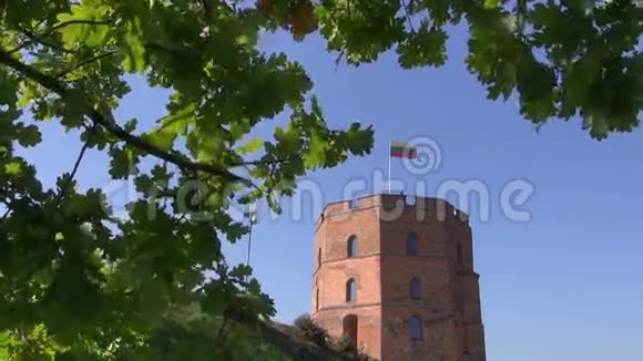 维尔纽斯历史Gediminas城堡塔旗视频的预览图