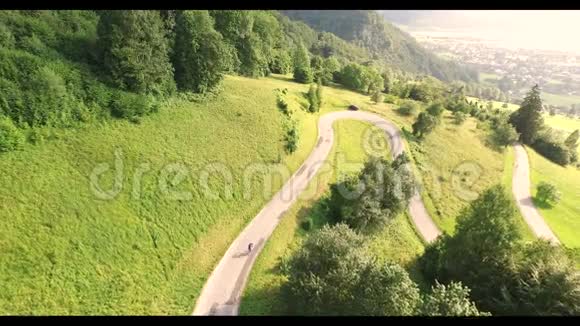 飞越阿尔卑斯山的森林视频的预览图