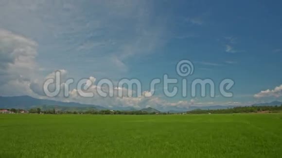 在越南摄像机沿着绿色稻田与天空移动视频的预览图
