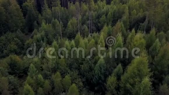 德国森林的空中景色视频的预览图