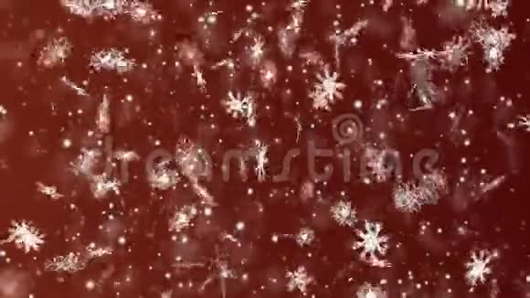 圣诞节和新年无缝循环动画圣诞雪花在暗红色背景上冬季神奇魔法视频的预览图