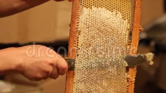 养蜂人拆封蜂窝视频的预览图