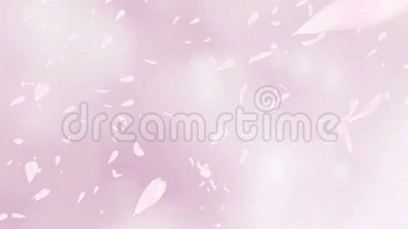 飘落的粉红色玫瑰花瓣或樱花在蓝天上弹簧慢动作高清动画特写背景模糊视频的预览图