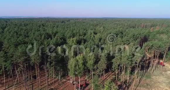 砍伐老松林砍伐鸟瞰图工业规模的砍伐森林砍伐森林视频的预览图