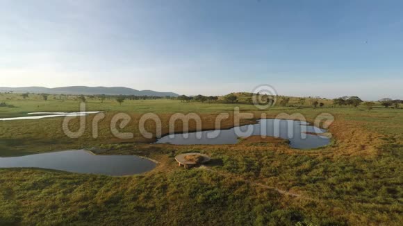 肯尼亚大草原上空的日出视频的预览图