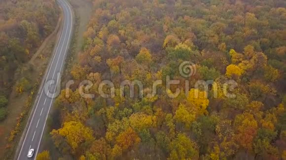 秋林环绕的道路上的鸟瞰交通视频的预览图