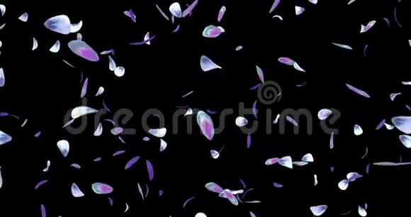 落紫蓝绿花花瓣飞行背景阿尔法哑光环4k视频的预览图