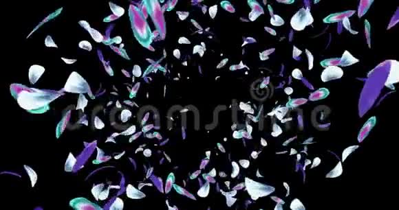 紫罗兰蓝青花花瓣飞行背景阿尔法哑光环4k视频的预览图