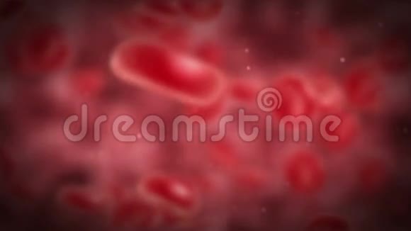 红细胞旋转视频的预览图
