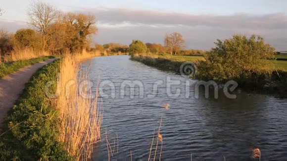 Bridgwater和Taunton运河英国Somerset和平水道视频的预览图