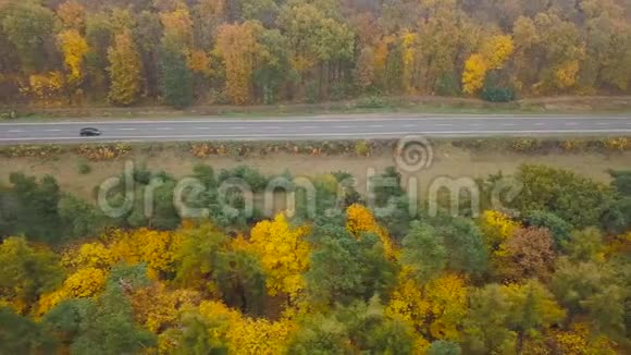 秋林环绕的道路上的鸟瞰交通视频的预览图