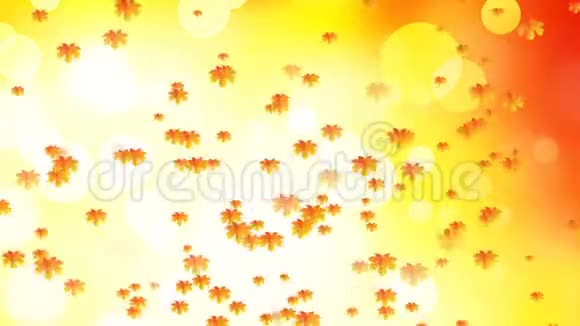 秋天落叶的抽象背景视频的预览图