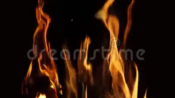 篝火篝火肯尼亚马赛马拉公园的营地视频的预览图