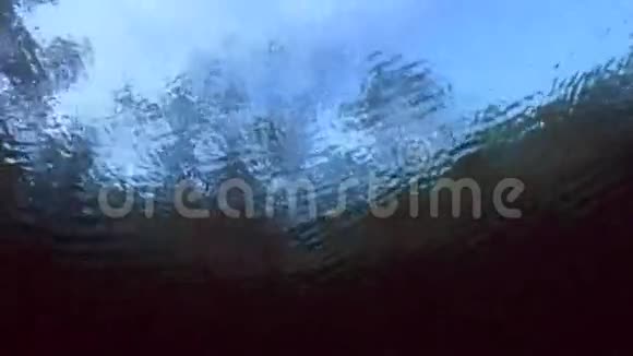 Cenote湖的水下景观和植被视频的预览图