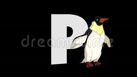 字母P和企鹅前景视频的预览图