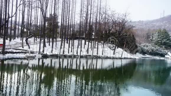 森林倒影在水中涟漪雪视频的预览图
