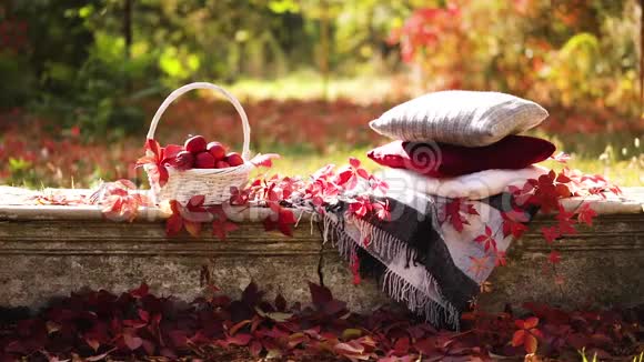 秋天的花园在石凳上有一条毯子一个枕头一篮子苹果和一顶带有橡胶靴的勃艮第帽视频的预览图