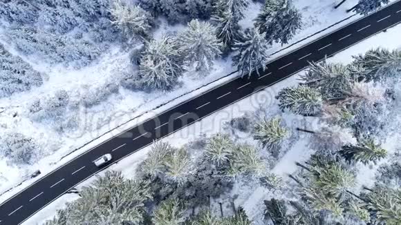 穿过冬天森林的道路的鸟瞰图视频的预览图