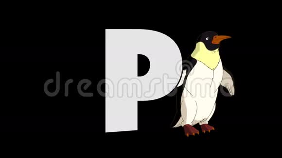 字母P和企鹅背景视频的预览图