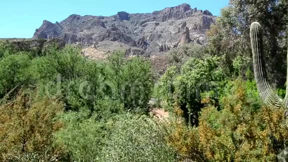 亚利桑那州索诺拉沙漠视频的预览图