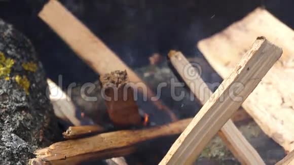 火树焰烟视频的预览图