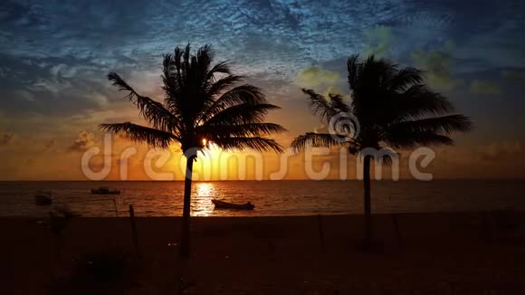 玛雅里维埃拉棕榈树海滩日出加勒比海视频的预览图