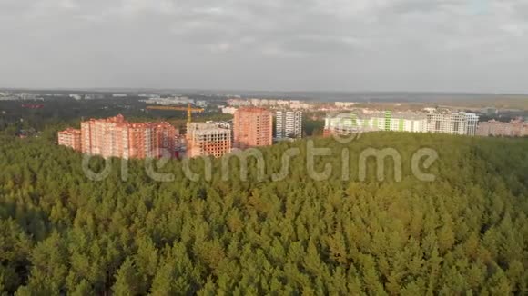 鸟瞰秋林喀尔巴阡山视频的预览图