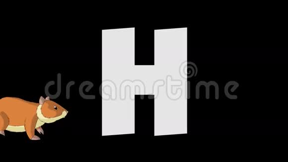 字母H和仓鼠前景视频的预览图