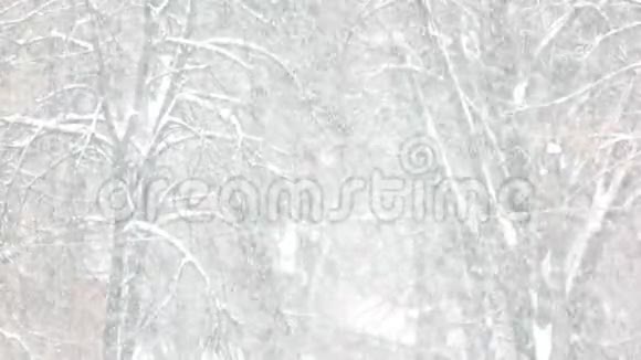 冬天的雪景视频的预览图