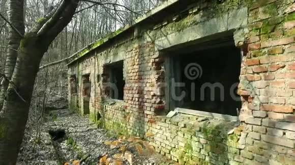 森林中废弃的老建筑视频的预览图