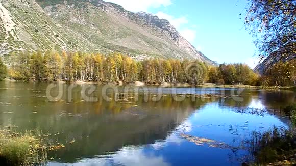一个美丽的湖海滩上有黄树视频的预览图