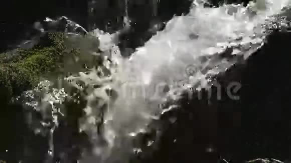 山河水流在石头上森林太棒了视频的预览图