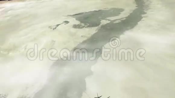 飞机飞越埃及视频的预览图
