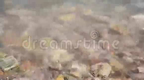 安达曼海与石滩和贝壳的波视频的预览图