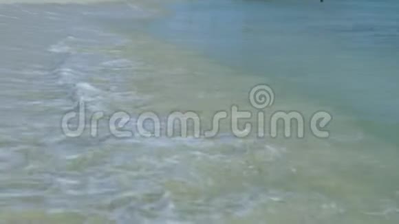 阿鲁巴岛美丽的鹰海滩加勒比海滩视频的预览图