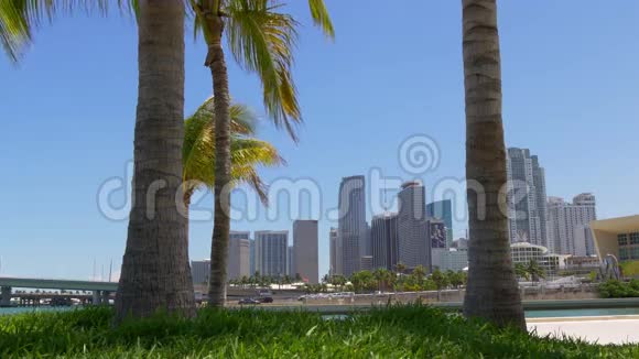 夏日棕榈公园迈阿密市中心全景观美国佛罗里达州4k视频的预览图