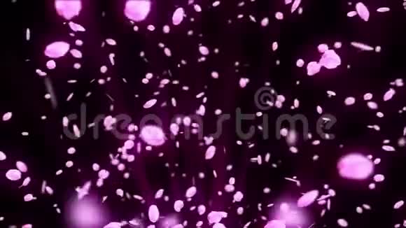 樱花的旋转樱花春花背景CG花瓣循环动画日本文化视频的预览图