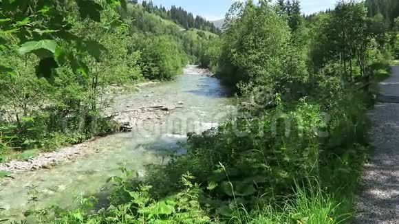 流经奥地利蒂罗尔州格罗斯特山谷的野生山涧视频的预览图