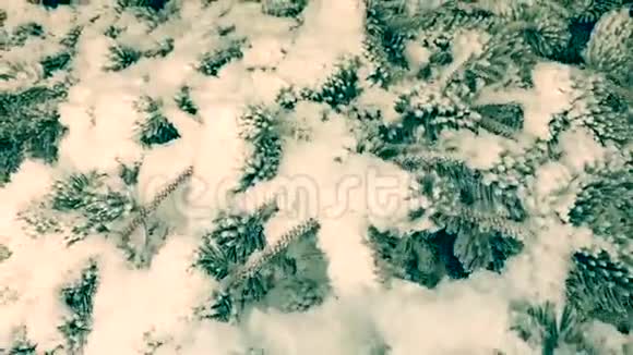 白雪中的圣诞树视频的预览图
