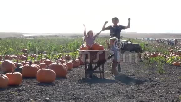 农场南瓜场有手推车的快乐孩子视频的预览图