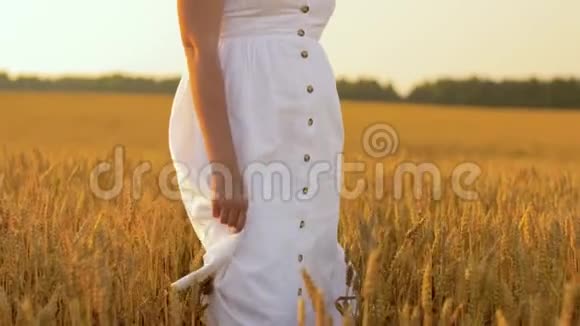 穿着白色衣服的女人走在麦田里视频的预览图