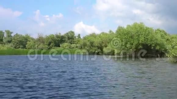 多瑙河三角洲美丽的湖泊视频的预览图