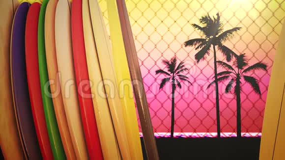 特写冲浪板和热带树叶夏季背景视频的预览图