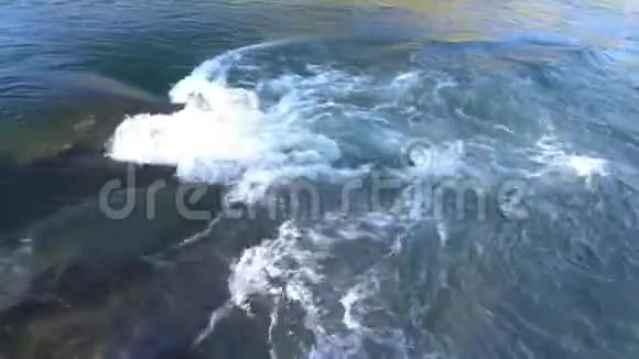 山河阿尔泰山视频的预览图