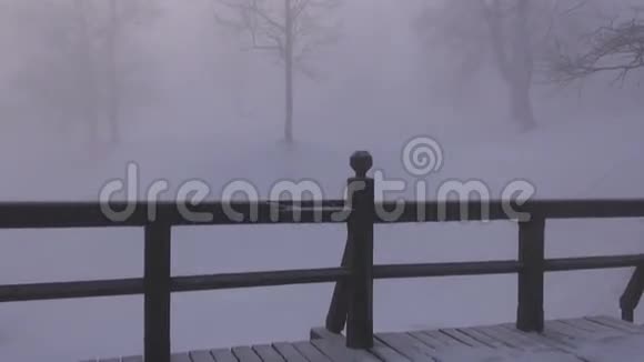 冬天早晨的阳光和公园里的雾视频的预览图