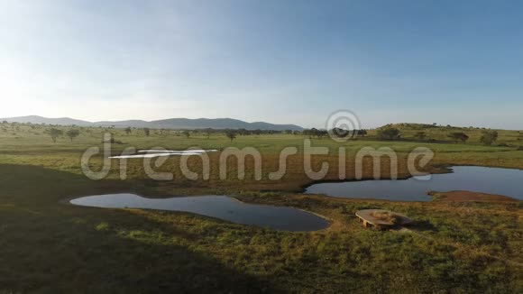 肯尼亚大草原上空的日出视频的预览图