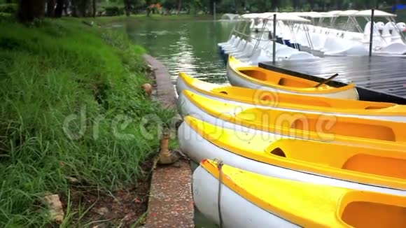 泰国曼谷绿色公园的水监测器高清高清视频的预览图